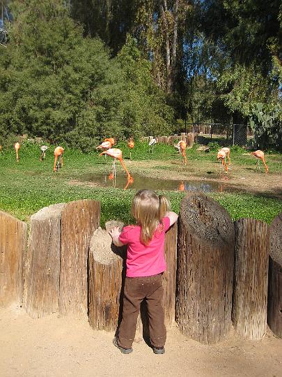 2nd Birthday at the zoo 37.JPG